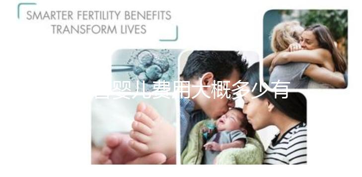 試管嬰兒費(fèi)用大概多少有清單嗎（試管嬰兒費(fèi)用明細(xì)表）