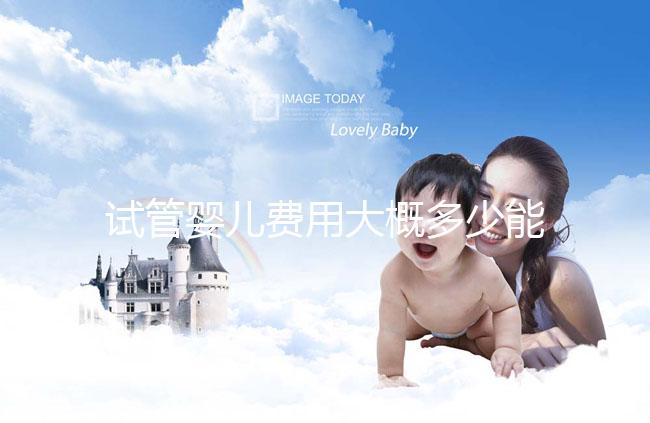 試管嬰兒費(fèi)用大概多少能出來報銷（試管嬰兒費(fèi)用大概多少能出來報銷醫(yī)保）