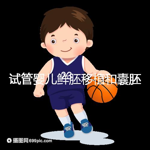 試管嬰兒鮮胚移植和囊胚移植的區別！哪個成功率高看完便知曉