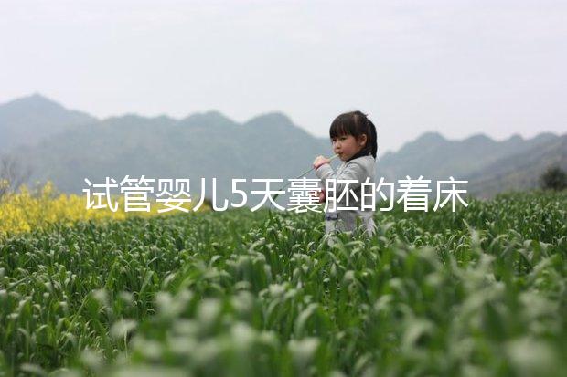 試管嬰兒5天囊胚的著床過程（附視頻）