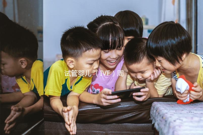 試管嬰兒 （IVF）周期詳解