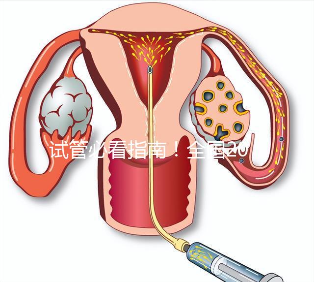試管必看指南!全國(guó)20家試管嬰兒醫(yī)院真實(shí)成功率對(duì)比(附3-8萬費(fèi)用避雷表)