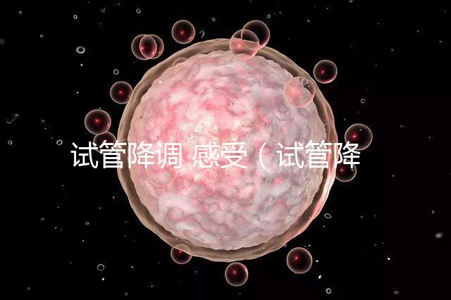 試管降調(diào) 感受（試管降調(diào)后的反應(yīng)）