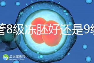 試管8級(jí)凍胚好還是9級(jí)好進(jìn)來(lái)瞧，看完二者區(qū)別全明白