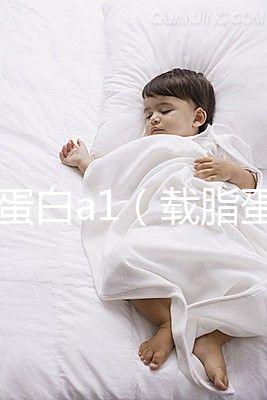 載脂蛋白a1（載脂蛋白a1偏高是什么意思）