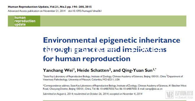 過(guò)來(lái)人真實(shí)體驗(yàn)：羊水穿刺疼不疼，說(shuō)說(shuō)我做完的感覺(jué)