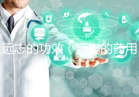 遠(yuǎn)志的功效（遠(yuǎn)志的藥用價(jià)值）