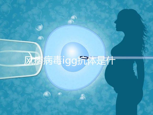 風(fēng)疹病毒igg抗體是什么,其實這就是基本懷孕條件