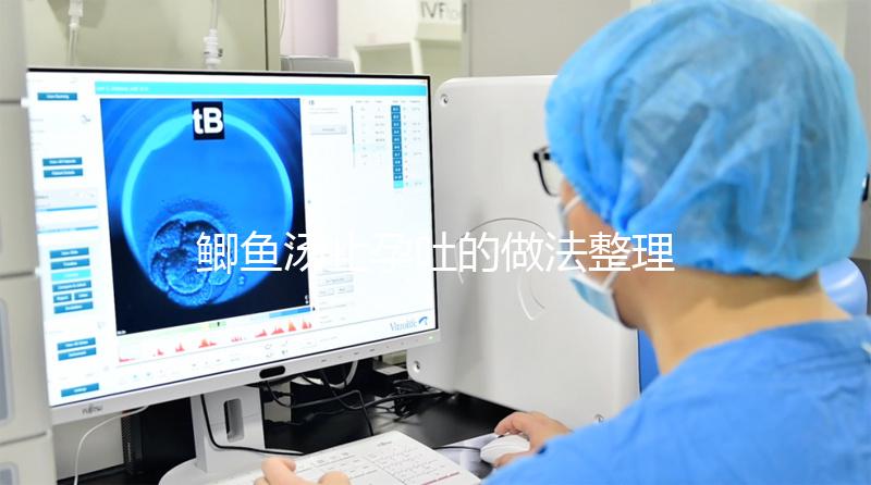 鯽魚湯止孕吐的做法整理，加砂仁、豆腐一星期喝幾次很有用