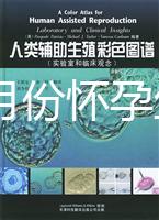 40歲幾月份懷孕生男孩？你想要的答案在生男生女清宮圖