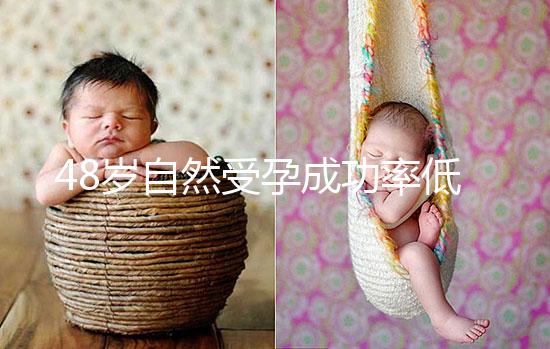 48歲自然受孕成功率低別擔(dān)心！提升懷孕的幾率僅需3招