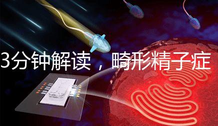 3分鐘解讀，畸形精子癥是什么病異常精子跟它的區(qū)別