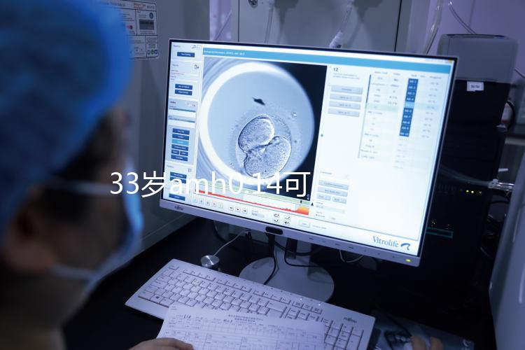 33歲amh0.14可以做試管嬰兒懷孕嗎？