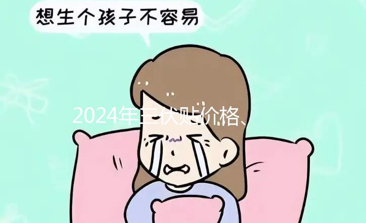 2024年三伏貼價格、品牌、單個療程費用大科普