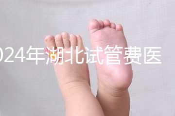 2024年湖北試管費(fèi)醫(yī)療保險(xiǎn)可以報(bào)銷？專家：時間還沒到？