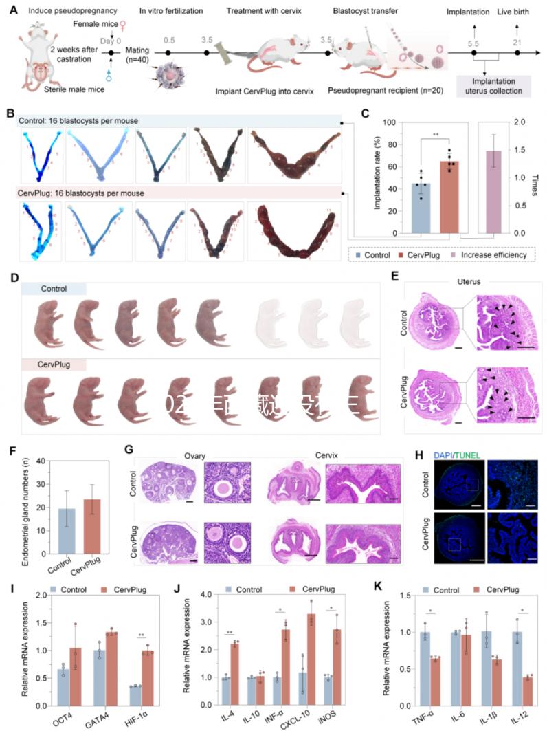 2024年西藏還沒有三代試管嬰兒醫院，那該去哪里做三代呢？