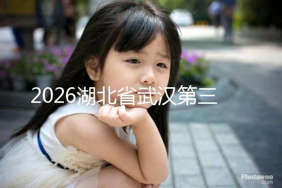 2026湖北省武漢第三代試管嬰兒費用明細：各項收費價格全面公開