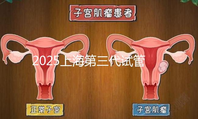 2025上海第三代試管嬰兒費(fèi)用明細(xì)表(每個(gè)項(xiàng)目?jī)r(jià)格真實(shí)公開(kāi))