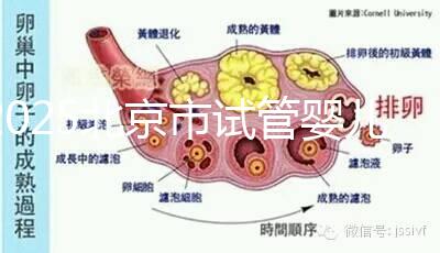 2025北京市試管嬰兒醫(yī)院排名TOP10：推薦5家私立機(jī)構(gòu)+5家公立醫(yī)院