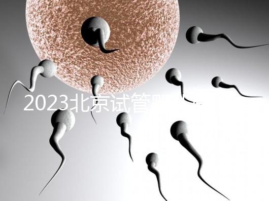 2023北京試管嬰兒醫(yī)院大全，助孕成功率排名前十公布