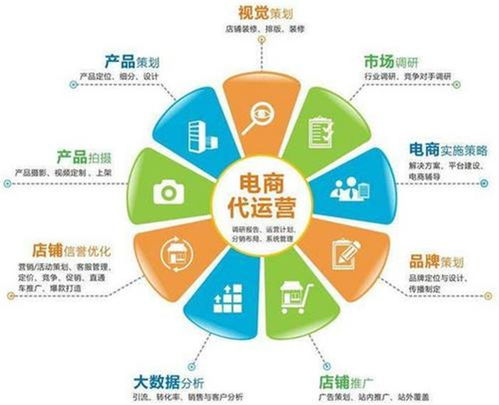 新創(chuàng)電子 安陽淘寶代運營與電商幫運營的完美結合